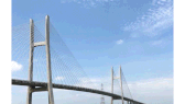 Cao Lanh bridge ( Photo: Courtesy of Australian Embassy)