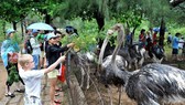 Tourists visit Hon Nhi island, Nha Trang (Source: VNA)