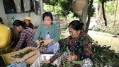 Significant role of enterprises, cooperatives in promoting North, South’s fruits