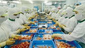Workers process shrimp at Tra Noc 2 Industrial Park in the city of Can Tho. — Photo baocantho.com.vn