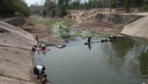 Vietnam spends US$3 billion on irrigation construction works