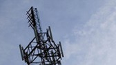 Police to investigate telecommunications network monopoly in Phu My Hung area