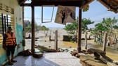 A woman in her collapsed house in Quang Binh province, one of the worst hit localities in the long lasting heavy rain and flooding in the Central region (Photo: SGGP)