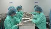 Covid-19 vaccine being trialed on monkeys in Vietnam