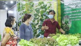 A member of a cooperative introduces agricultural produce (Photo: SGGP)