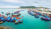 Tasks assigned to put an end to IUU fishing by year’s end
