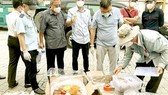 Bird nest, dried seahorses hidden in containers of blood clams