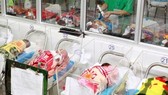 Raising public awareness of gender equality as well as improving status of women and girls are considered as keys to reduce the unbalanced sex ratio at birth. (Photo: VNA)