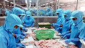 Vietnam's total seafood export value in January dropped by 12.5 per cent to US$644 million year-on-year. Photo baodansinh.vn