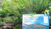 There are precious and rare biological genetic resources on Hon Khoai- Hon Chuoi island clusters
