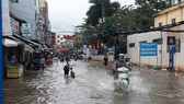 Mekong Delta able to reach levels 1-2 flood peak in 2021