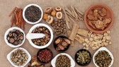 Cần tạo hành lang pháp lý trong việc kết hợp y học cổ truyền và y học hiện đại