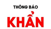 Tìm người từng đến các địa điểm tại phường 8, quận 11