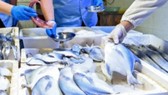 Trung Quốc phát hiện 47 mẫu thủy sản nhập khẩu có nhiễm virus Corona