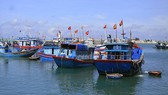 Quảng Ngãi phải quyết liệt hơn với chống đánh bắt hải sản bất hợp pháp