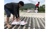 Các doanh nghiệp ở Quảng Ngãi xem xét cho người lao động tạm thời nghỉ việc từ ngày 28 đến 29-10