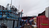 Quảng Ngãi: 32 tỷ đồng nâng cấp, sửa chữa 5 cảng cá