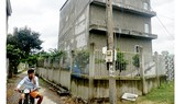 Tạo thương hiệu yến Cần Giờ