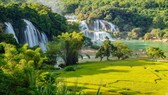 Ý nghĩa lớn từ chương trình “Tận hưởng bản sắc Việt“