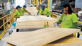 Đức hỗ trợ triển khai VPA FLEGT về gỗ hợp pháp