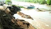 Báo động sạt lở ngày càng lan rộng ở ĐBSCL