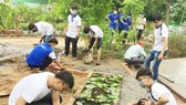 Hành trình xanh hóa những điểm đen