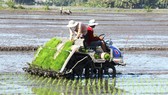 Dồn sức phát triển ĐBSCL bền vững hơn