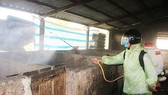 Phun hóa chất khử trùng chuồng trại nuôi heo