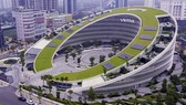 Trao quyền cho “sếu đầu đàn”