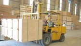 Sản xuất gỗ MDF tại Nhà máy MDF Quảng Trị