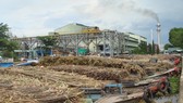 Ngành mía đường ASEAN hội nhập: “Thế giới chưa phẳng”