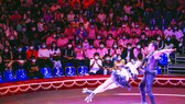 Thanh xuân với sàn tập xiếc