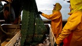 Ảnh minh họa: REUTERS