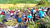Miền Trung chủ động vượt khô hạn