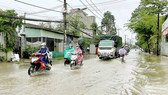 Đẩy nhanh các dự án chống ngập cho TP Thủ Đức