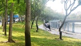 Góc xanh chẳng ở đâu xa