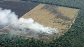 Rừng rậm Amazon bị tàn phá, Brazil, ngày 18-5-2005. Ảnh minh họa: REUTERS
