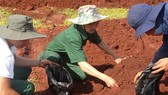 Kinh nghiệm trong công tác tìm kiếm hài cốt liệt sĩ