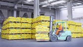 PVFCCo đạt tăng trưởng mạnh về hóa chất và NPK Phú Mỹ