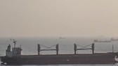Bà Rịa – Vũng Tàu: 5 thuyền viên tàu nước ngoài dương tính với SARS-CoV-2