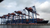 Bà Rịa – Vũng Tàu: Kiểm tra công tác phòng chống dịch Covid-19 tại các khu công nghiệp và cảng biển