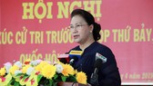 Cử tri kiến nghị về giá xăng, giá điện
