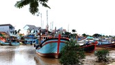 Sóc Trăng cấm tàu thuyền ra khơi để tránh bão số 14. Ảnh: TUẤN QUANG