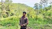 Khởi tố, bắt giam đối tượng cưa hạ hàng loạt thông cổ thụ ở Lâm Đồng
