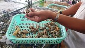 Thêm một nhà hàng hải sản tại Nha Trang bị phạt