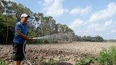 Cảnh báo “đại hạn”, có thể dùng xe quân đội chở nước đến từng gia đình
