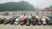 21 doanh nghiệp Việt Nam tìm cơ hội xuất khẩu nông sản sang Vân Nam – Trung Quốc