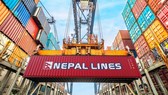 “Cứu” thành công 58 container hồ tiêu mắc kẹt ở Nepal