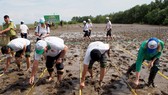 3.700 ngôi nhà an toàn cho vùng sạt lở, lũ lụt