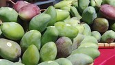 Mận hậu và xoài tròn của Sơn La chính thức lên sàn thương mại điện tử